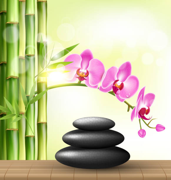 illustrazioni stock, clip art, cartoni animati e icone di tendenza di pila di pietre spa con fiori di orchidea rosa e bambù - arrangement asia backgrounds balance
