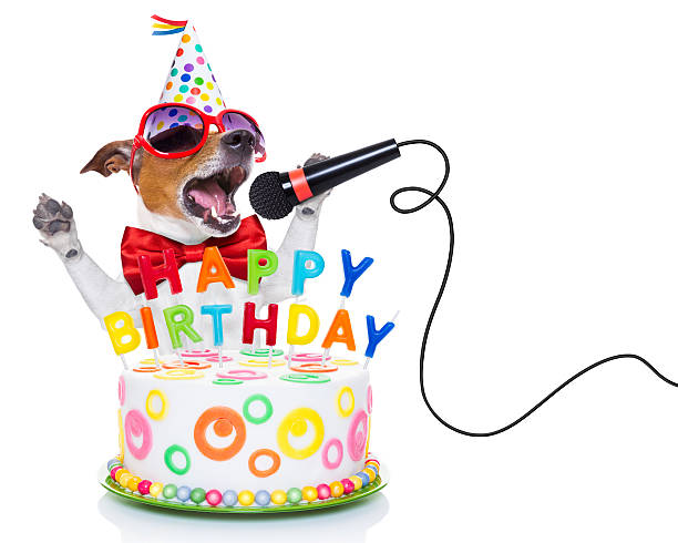 happy birthday dog jack russell dog  as a surprise, singing birthday song  like karaoke with microphone ,behind funny cake,  wearing  red tie and party hat  , isolated on white background barking animal sound stock pictures, royalty-free photos & images