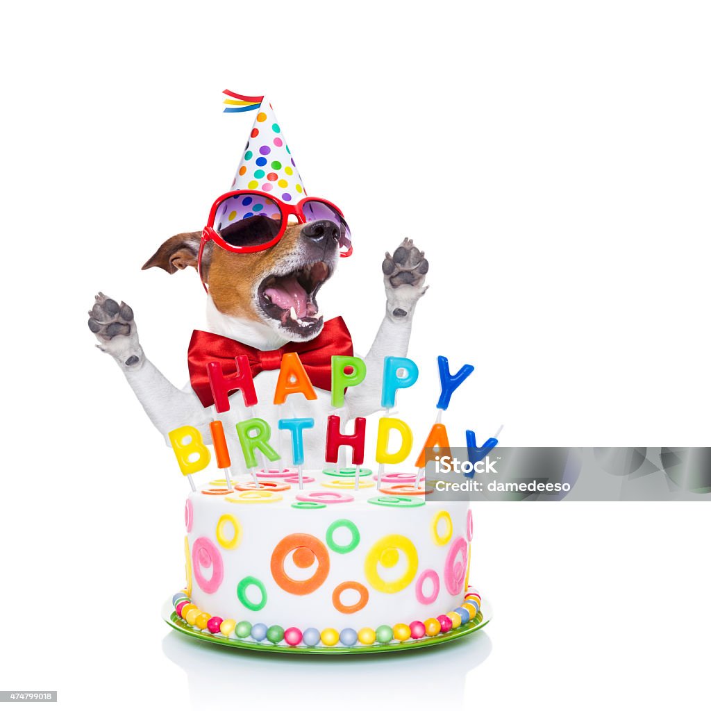 Alles Gute Zum Geburtstag Hund Singen Stockfoto und mehr Bilder von Geburtstag - Geburtstag, Hund, - iStock