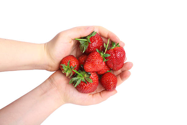 istock Beautiful hand with fresh strawberry 474799406