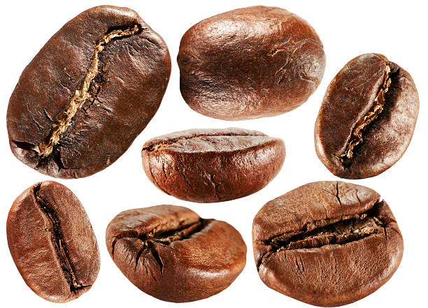 istock collection of coffee beans isolated on the white background 474800476