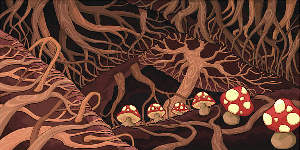 ilustraciones, imágenes clip art, dibujos animados e iconos de stock de estacionamiento subterráneo con raíces y hongos. - fungus roots