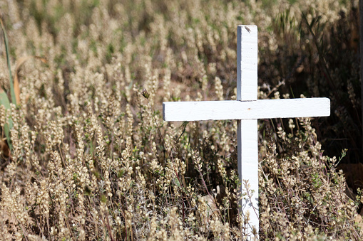 Image of a thin, simple white wooden cross in dry, dead weeds.  The cross is a symbol of religion, specifically Christianity.  This cross is a simple grave marker in an overgrown cemetery.
