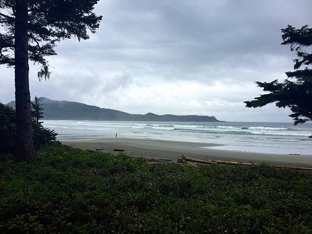 istock Cloudy day on Cox Bay, Tofino, British Columbia, Canada 474807966