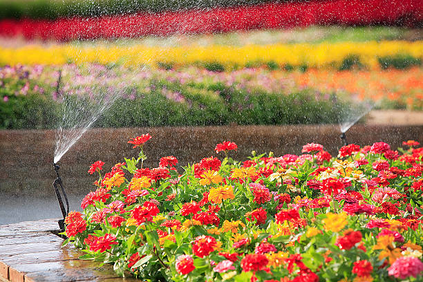 istock sprinkler head watering the flower 474812106