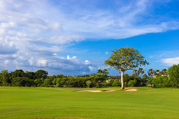 istock Beautiful View of Green Golf Field 474814956
