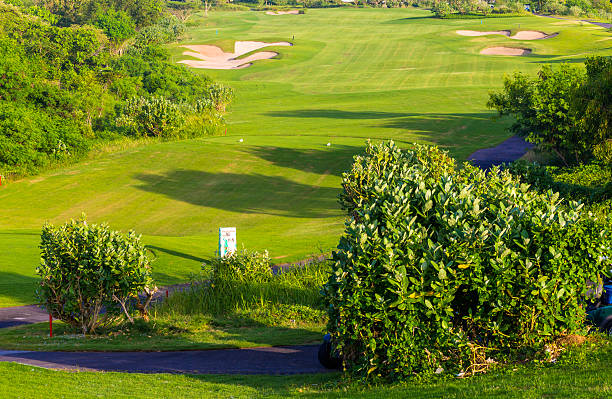 Beautiful View of Green Golf Field with Blue Sky.Beautiful View of Green Golf Field with Blue Sky.