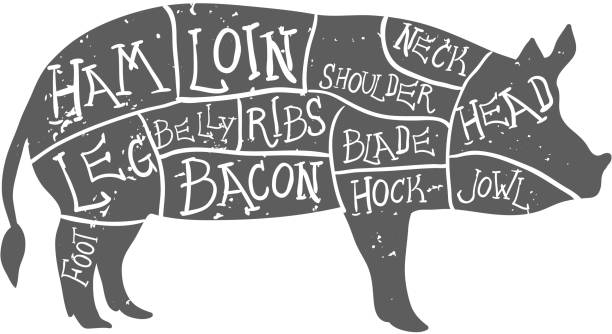 American cuts of pork, vintage typographic hand-drawn butcher cuts scheme American cuts of pork, vintage typographic hand-drawn butcher cuts scheme. Grunge on separate layer pork loin stock illustrations