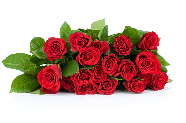 Red roses bouquet stock photo