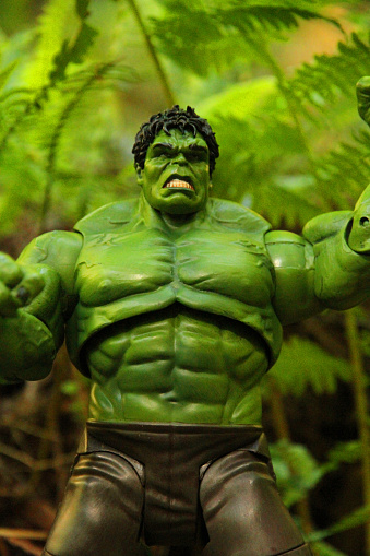 West Vancouver, Сanada - May 19, 2015: A toy of the Incredible Hulk in the rainforest of Lighthouse Park in the City of West Vancouver, British Columbia.