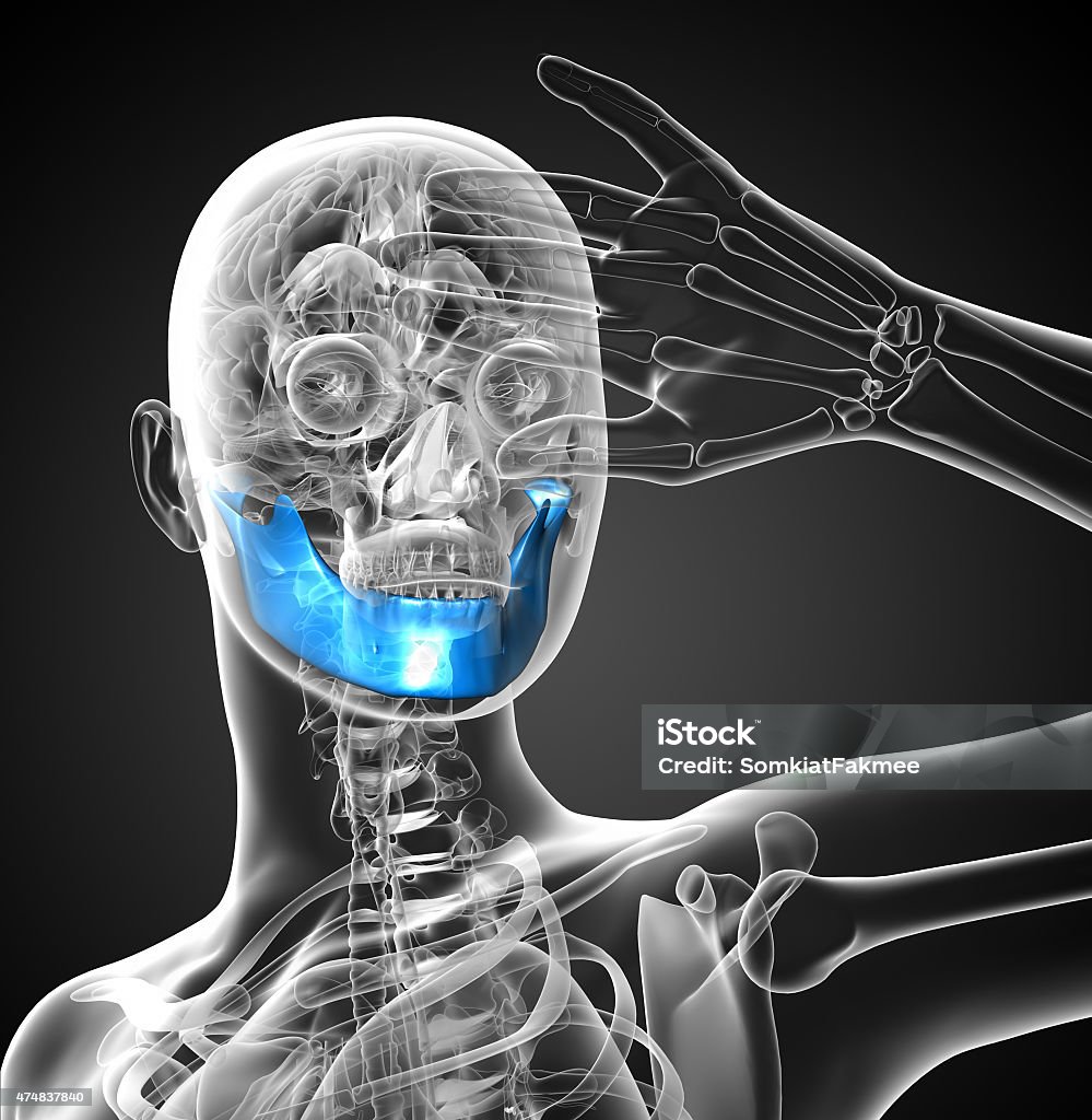 3 D 의료 유혹하는 턱뼈 2015년에 대한 스톡 사진 및 기타 이미지 - 2015년, 3차원 형태, 건강관리와 의술 - iStock