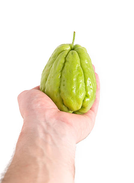 Chayote being held by a hand Chayote being held by a hand and isolated on white background. Christophine stock pictures, royalty-free photos & images