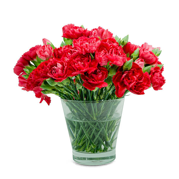 istock Red carnation in glass vase 474842410