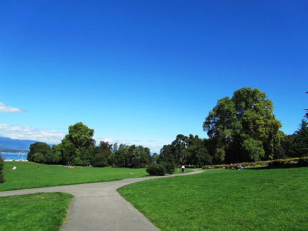 Blue sky in springtime with copy space.