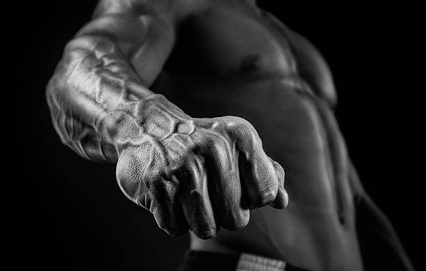 primer plano de salud brazo muscular y torso - human muscle muscular build bicep men fotografías e imágenes de stock