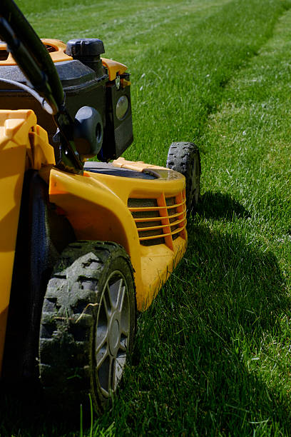 istock Yellow lawn mower on the green grass 474847404