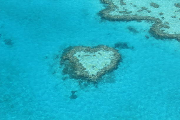 istock Heart Reef - The Great Barrier, Australia 474848209
