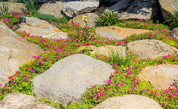 istock Flowers among the stones 474848918