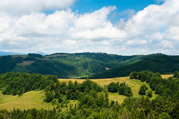 istock Landscape in the Ukrainian Carpathians 474848986