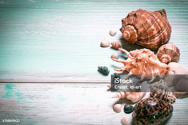 Summer Holiday Concept Stock Photo - Download Image Now - 2015, Abstract, Animal Shell