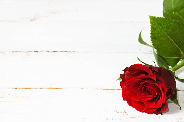 istock Red rose on white wooden planks background 474849556