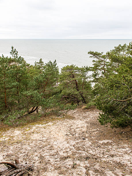 istock sunny tourist trail in the woods in spring 474853650
