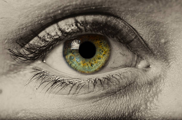 istock woman green eye isolated macro 474856663
