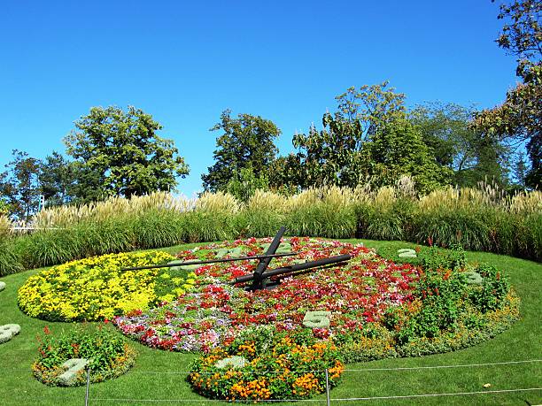 istock Clock flower in Geneva next to Geneva Lake 474863786