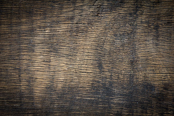 istock texture of bark wood use as natural background 474863844