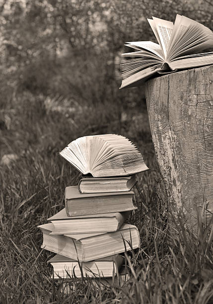 istock Monochrome still life with pile of books 474864290