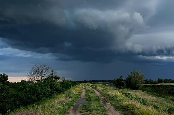 chemin de terre dans la journée d'été spectaculaire - fahrspur photos et images de collection