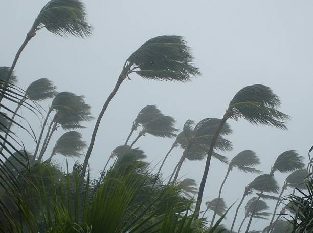 tropical storm force of nature berk stock pictures, royalty-free photos & images