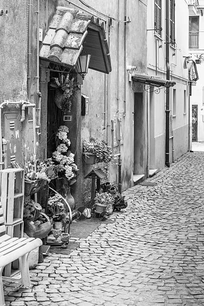 istock Village street 474893268