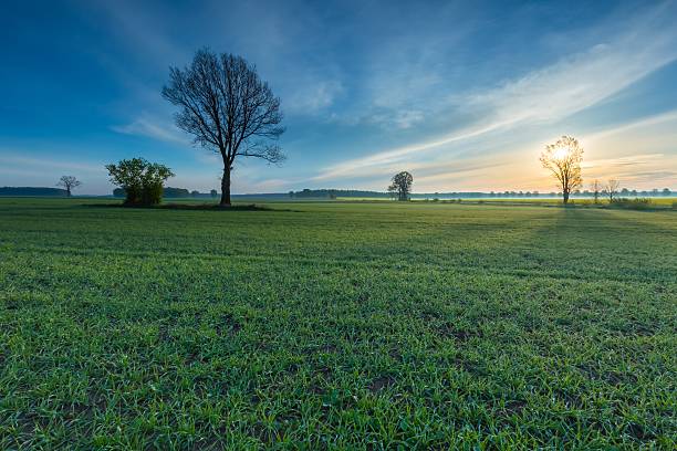 istock Morning over green field 474893526