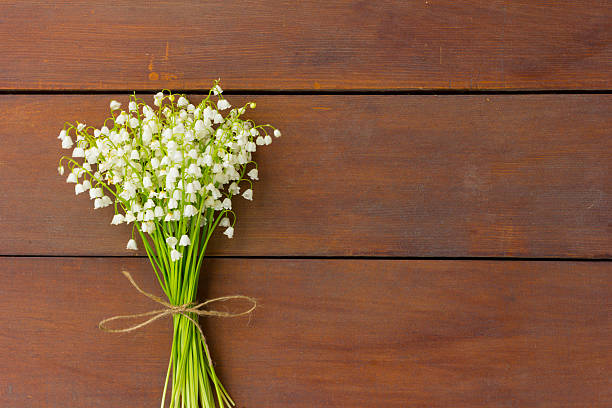 istock flowers lilies of the valley 474894180