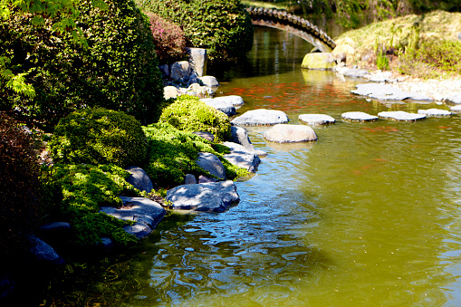 Modern residential garden landscape, black mountain stones, green plants, water scenery