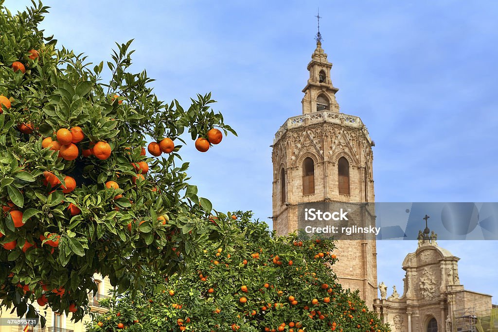 Naranjo y la catedral de Valencia. - Foto de stock de Valencia - España libre de derechos