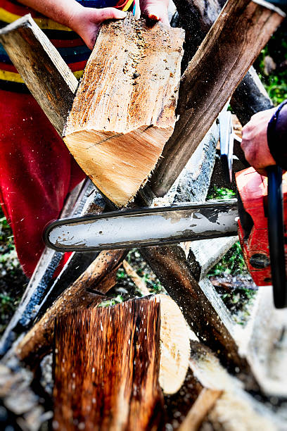 istock Woodcutter cutting a tree for firewood 474895894