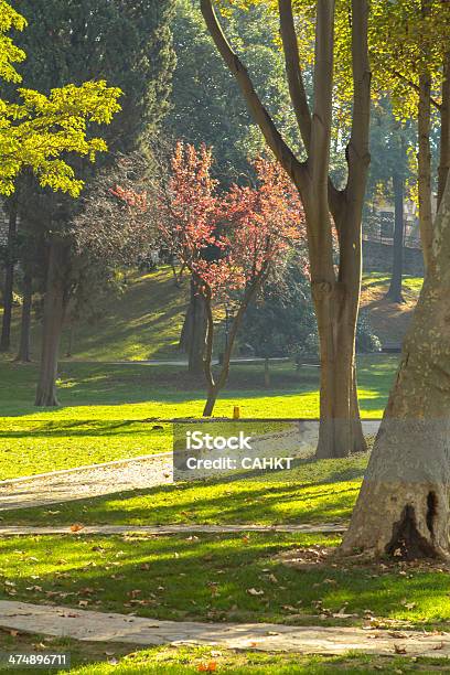 Istanbul Park - Fotografie stock e altre immagini di Circuito di Istanbul - Circuito di Istanbul, Ambientazione esterna, Bellezza