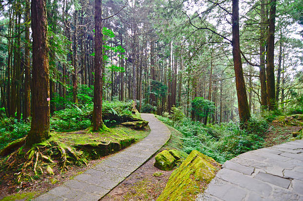istock Alishan forest amusement park,Taiwan 474899735