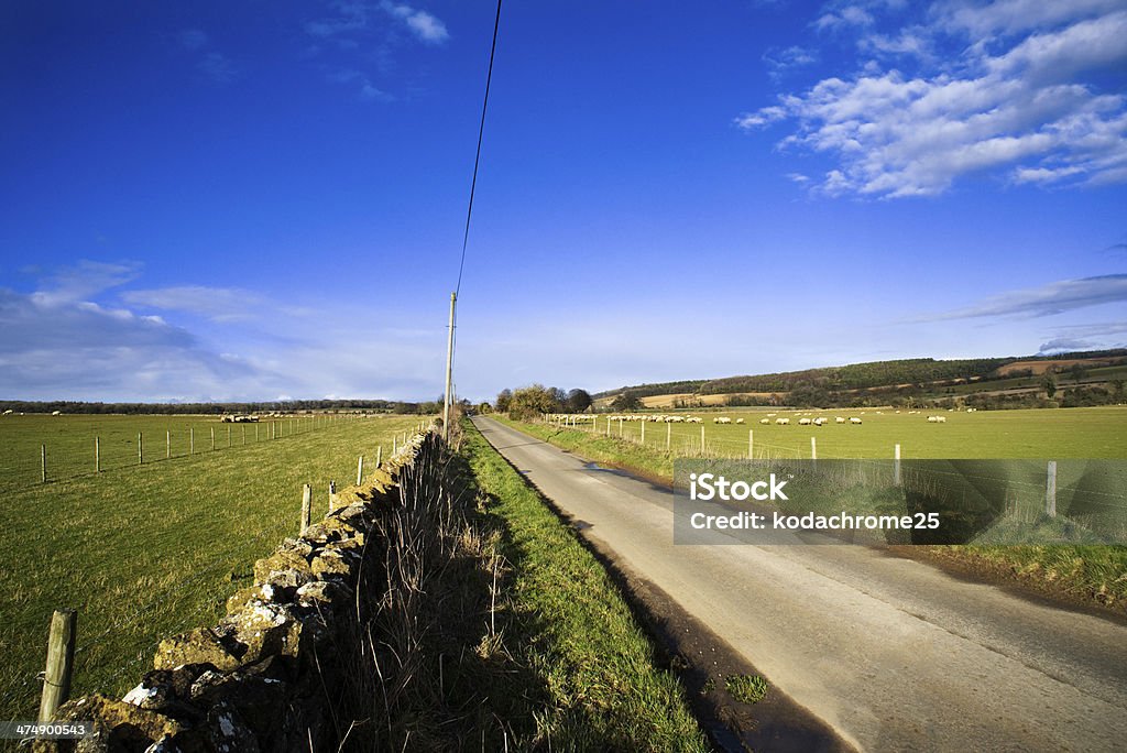 paysage - Photo de Accotement herbeux libre de droits