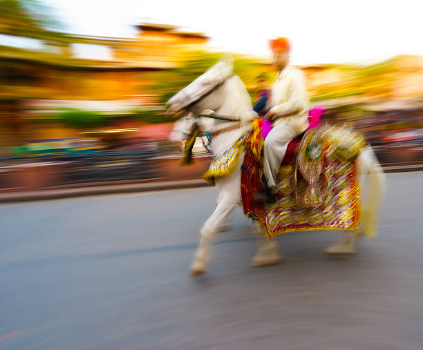 istock Ornated white indian horse 474903140