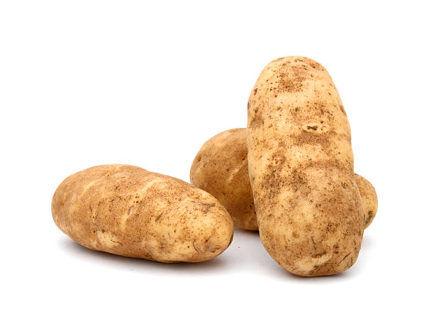russet-kartoffel (idaho potato) in den usa - kartoffel grundnahrungsmittel stock-fotos und bilder