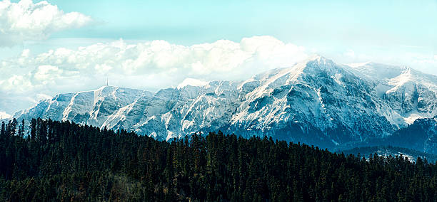 istock Peaks covered in snow under cloudy sky behind a forest 474903870