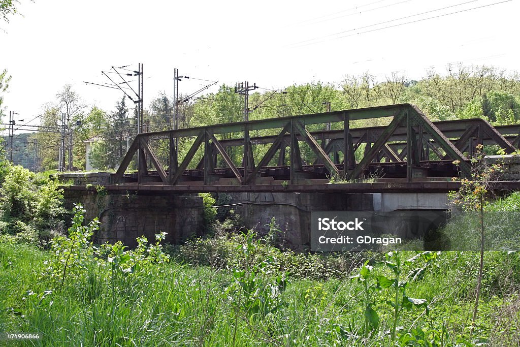 Bridge Old railway green metal bridge. Old iron bridge. 2015 Stock Photo