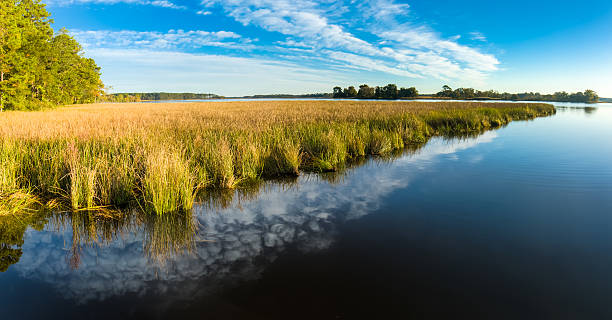 Blackwater National Wildlife Marsh Grass and Cloud Formation - Panorama