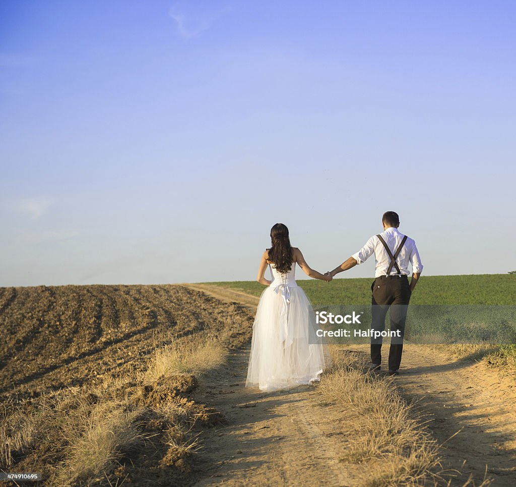 Wedding walk Wedding couple walking in a field under the blue sky Adult Stock Photo