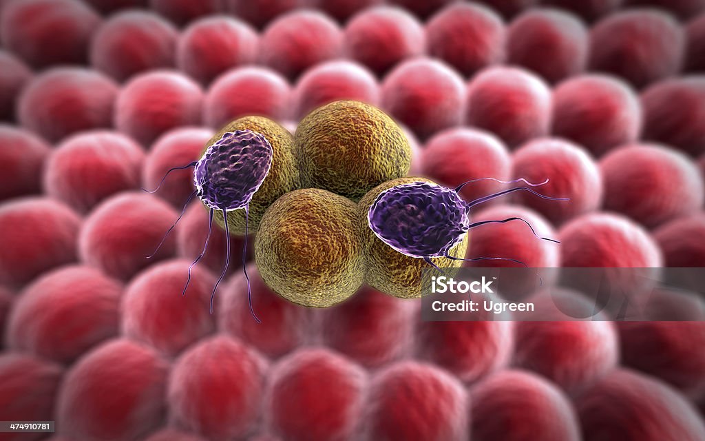 Krebszelle, Lymphocytes - Lizenzfrei Antikörper Stock-Foto