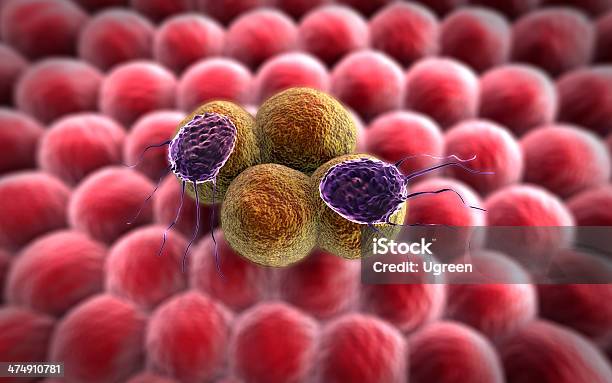 Раковая Клетка Лимфоциты — стоковые фотографии и другие картинки Антитело - Антитело, Вирус гриппа, Клетка - часть организма