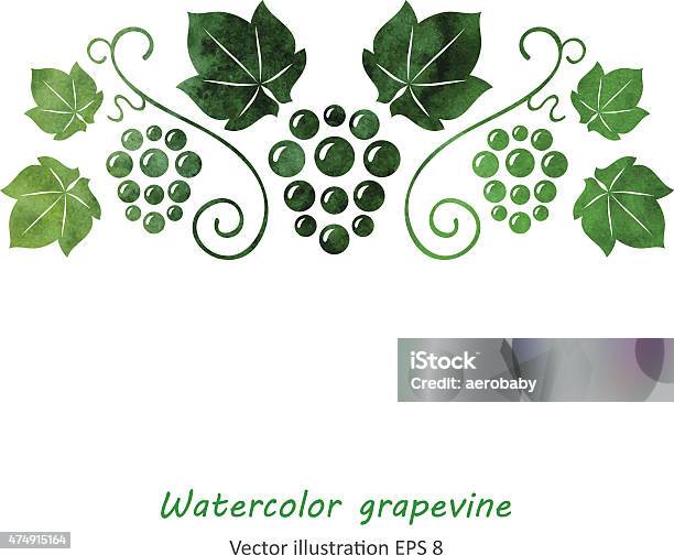 Акварельные Зеленый Виноград Vine — стоковая векторная графика и другие изображения на тему Виноград - Виноград, Элегантность, 2015